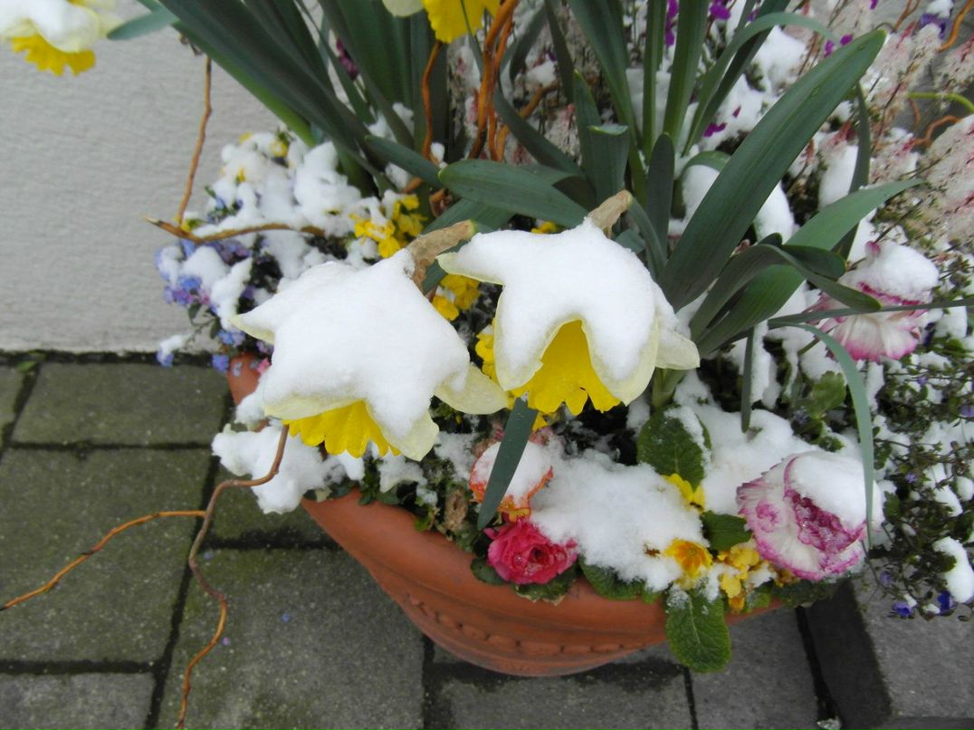 Irina Solovei | Санкт-Петербург