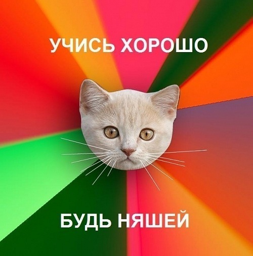 №20, Еленастаниславовна Костенюк №20, Еленастаниславовна Костенюк