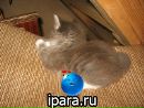 Фотография Сергей Зубарев