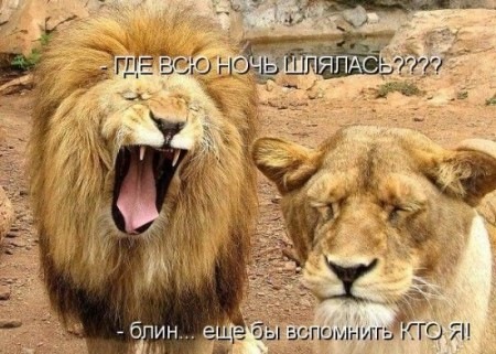 №9, Виталя Кравченко, 28 лет №9, Виталя Кравченко, 28 лет