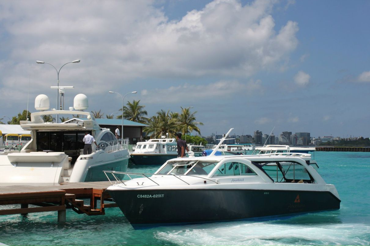 Настя Мусийчук | Алматы