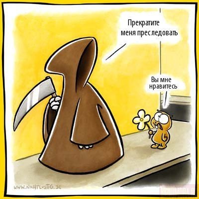 Бубука Толстый вроде | Ахтырка