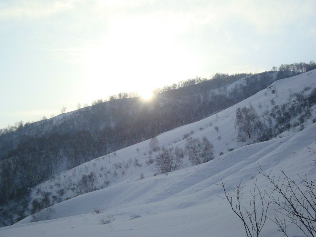 Анатолий Федоренко | Черногорск