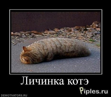 Василий Кандрукевич | Харьков