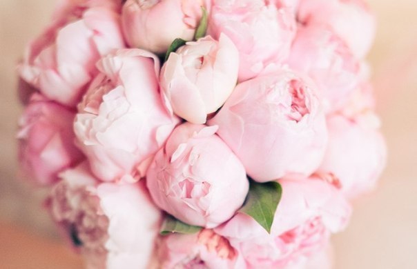 Alincha Умарова | Санкт-Петербург