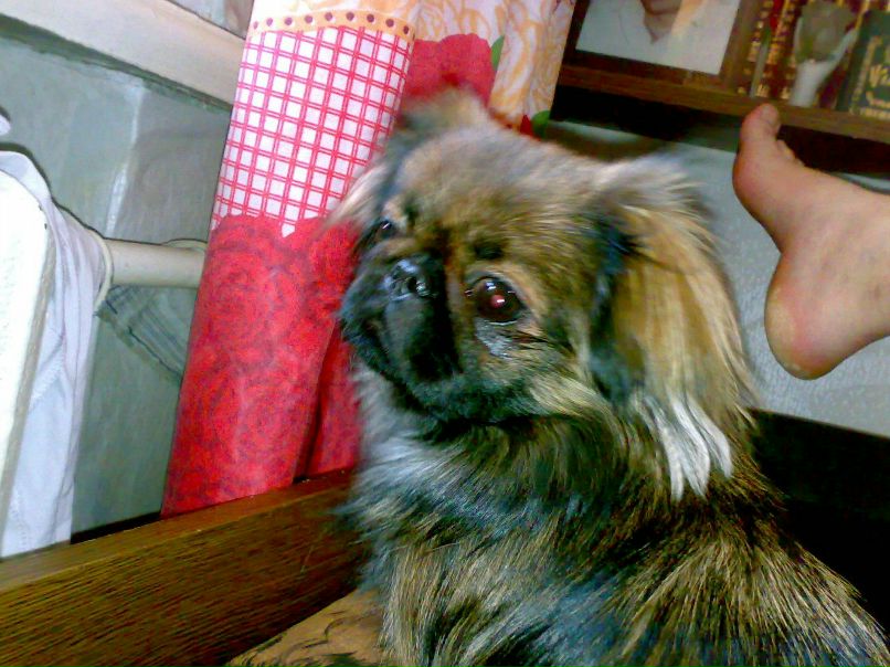 Валерий Кухар ✠DeMoN✠ | Одесса