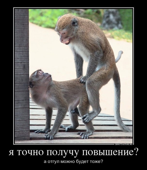 Владимир Грязнов | Озёры