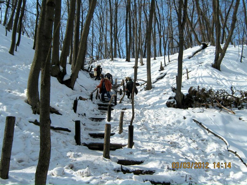 Юлия Горожанкина | Воронеж