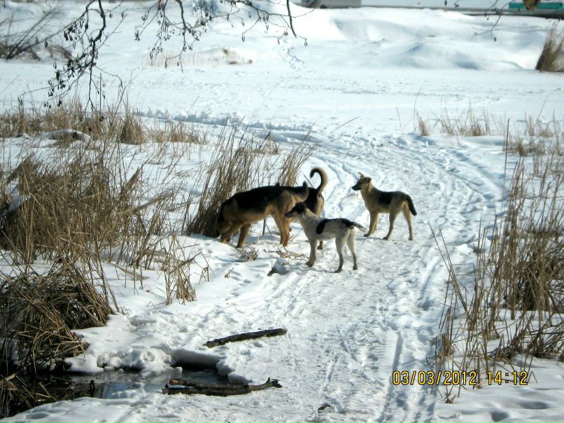 Юлия Горожанкина | Воронеж