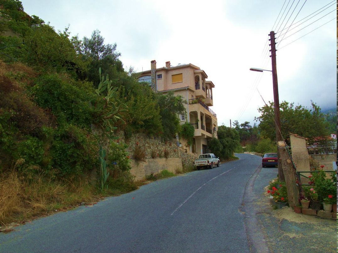 Антонина Скороход | Санкт-Петербург