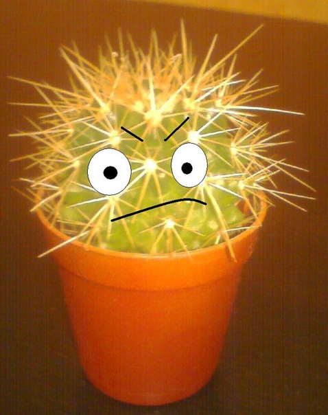 №18, Иван Проскурня, Омск №18, Иван Проскурня, Омск