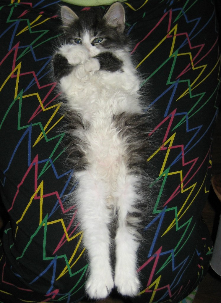 Настена Абрамова | Санкт-Петербург