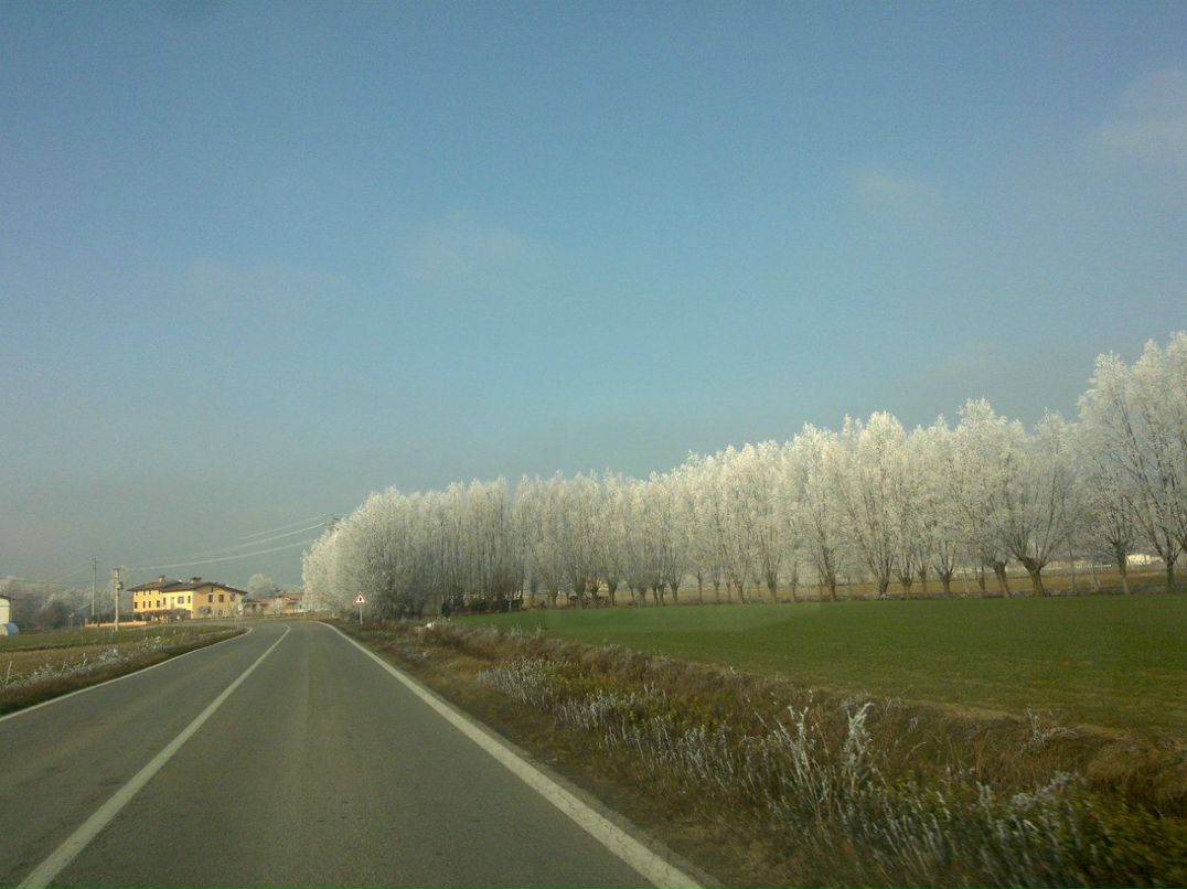 Павло Слимак Павлович | Brescia