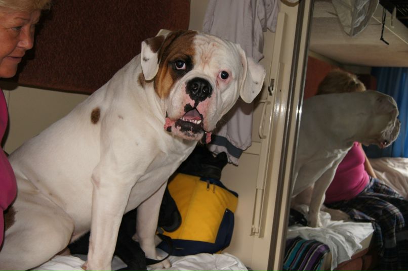 Ольга Исаева | Санкт-Петербург