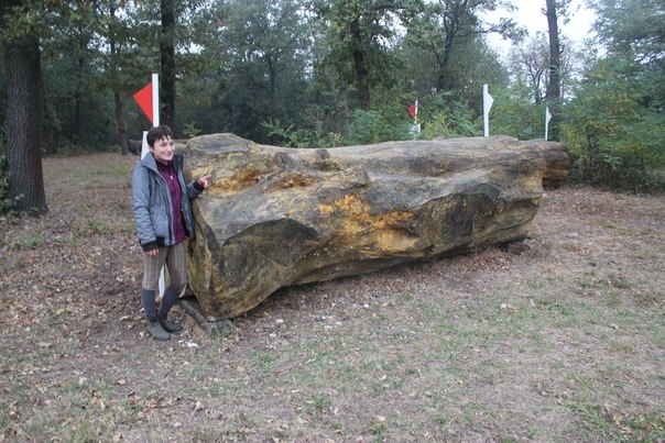 Евгения Высоцкая | Калуга