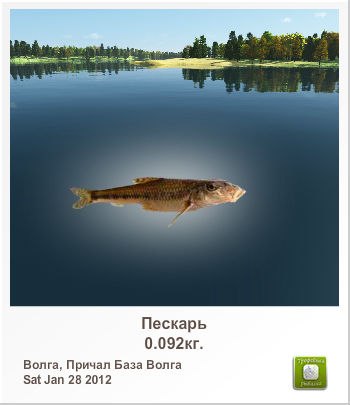 Айрат Салиев | 