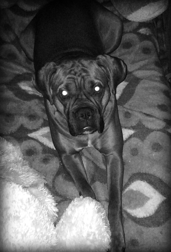 Дмитрий Кубицкий Ku✂bik | Днепр (Днепропетровск)