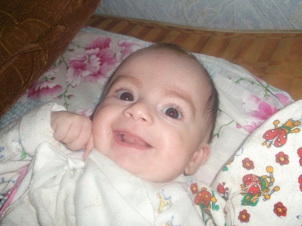 №191, Кавказцы Мира-Тут №191, Кавказцы Мира-Тут