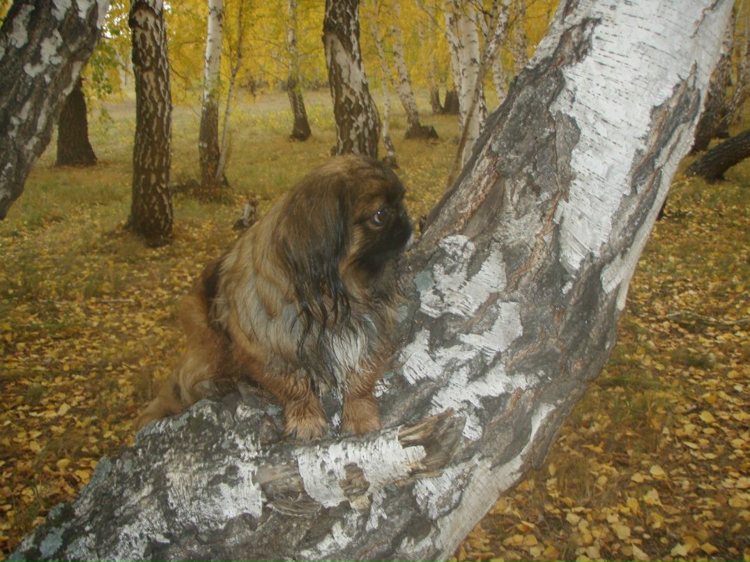 Галина Булачек | Магнитогорск