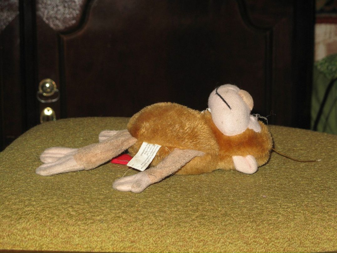 Ольга Пащенко | Москва