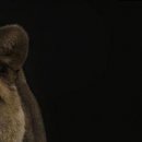 №47, Олег Макогін, 37 лет, Москва №47, Олег Макогін, 37 лет, Москва