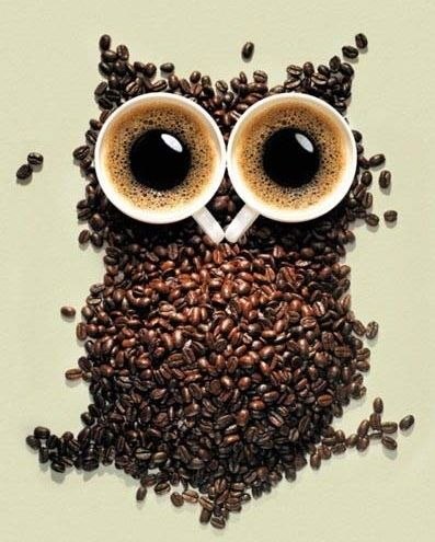 Черное Непушистое | Новосибирск