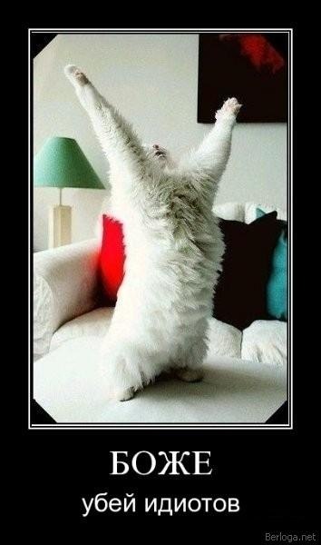 Vik Smile | Никополь