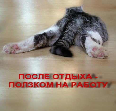 №78, Андрей Демченко, 40 лет, Каменское / Днепродзержинск №78, Андрей Демченко, 40 лет, Каменское / Днепродзержинск