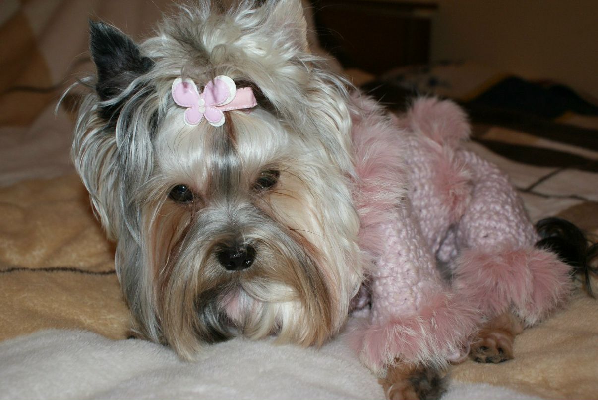 Асенька Калаш | Самара