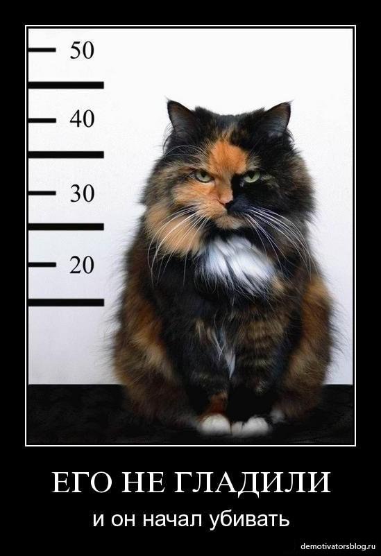 Сергей Степной | Москва