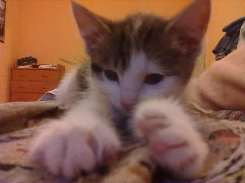 Санька Родионова | Москва