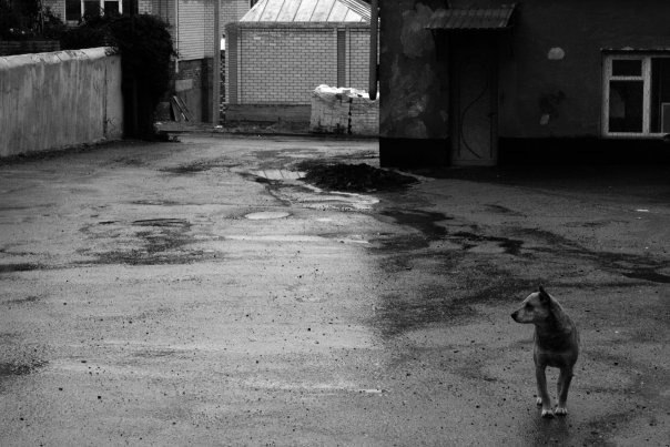 Славик Алексеев | Полтава