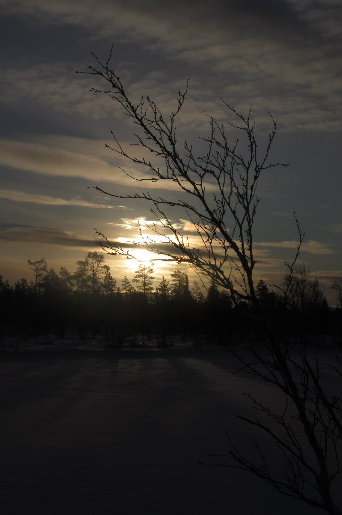 Арсений Петрик | Харьков