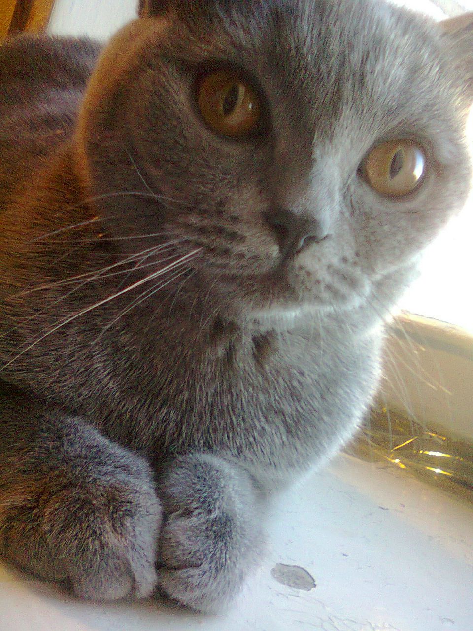 Надежда Московец | Засосна