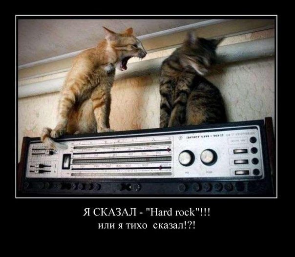 Гена Мелински The Metalhead | Ришон ЛеЦион