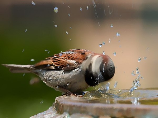 Любовь Соболь | 