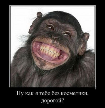 Инна Закуракина | Белгород