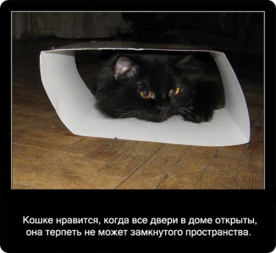 Ольга Банкова | Пенза