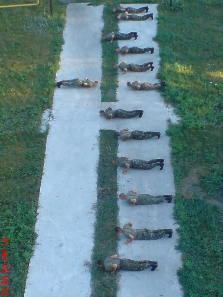 Николя Журавель | Славянск