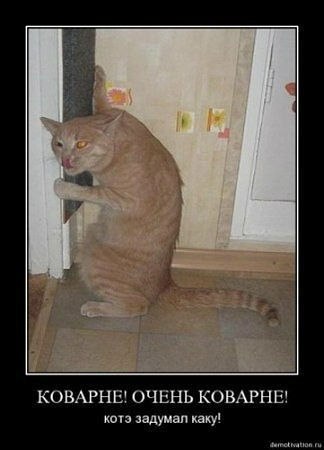 Евгения Пронина-Трифонова | Калининград