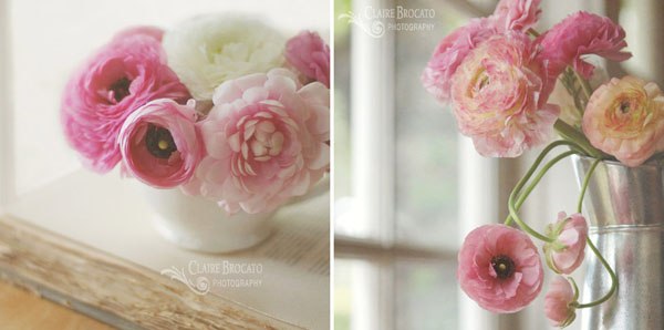 Лисёночек Обыкновенный | 