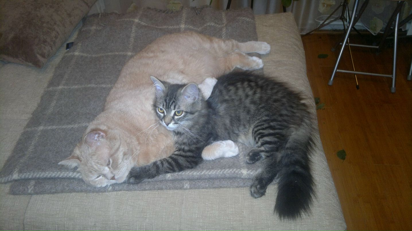 Татьяна Сухенко | Санкт-Петербург