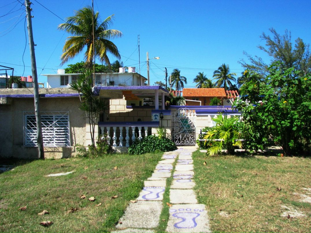 Алексей Черемисин | Москва