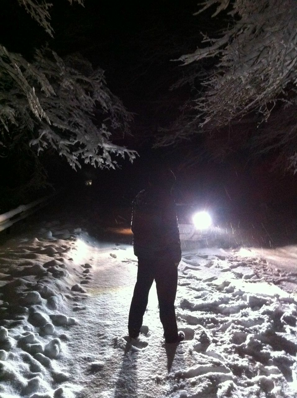 Данила Che {WTF} | Севастополь