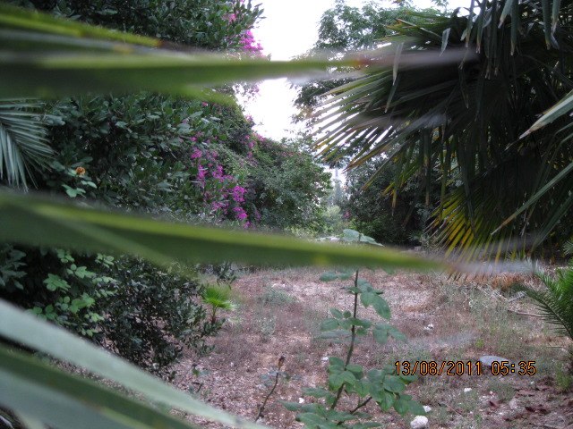 Антон Чемоданов | Nahariya