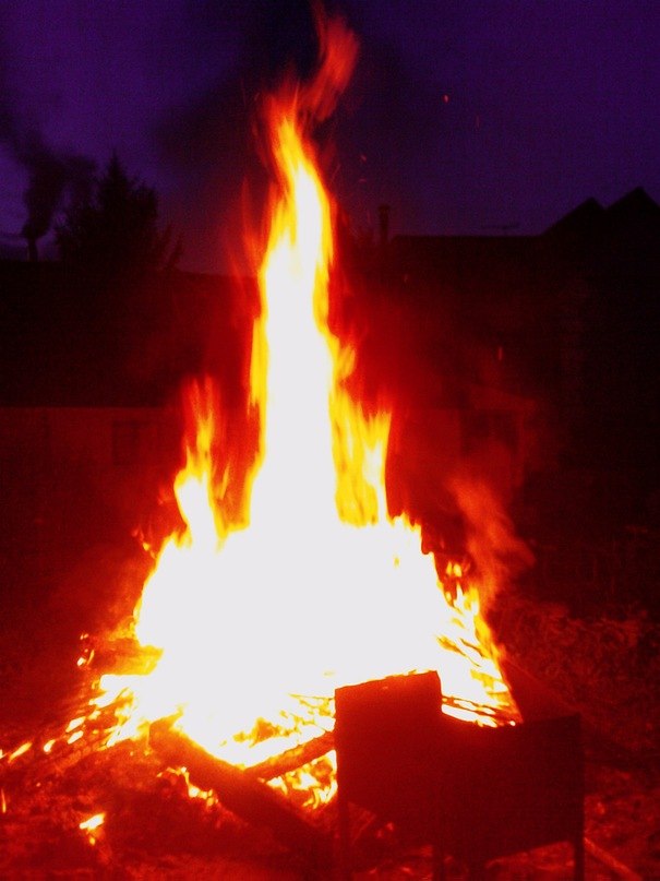 Маргарита Веритас | 