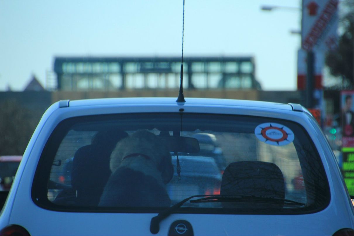 Ваня Василенко /$_M_O_K_E\ | Моршин