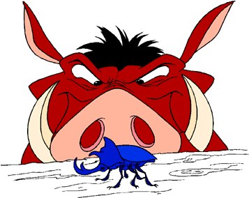 Анастасия Калякина | Москва