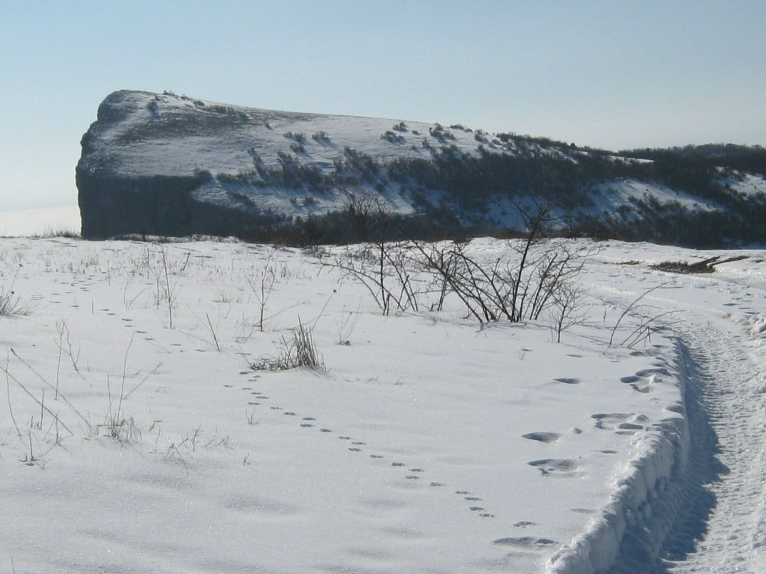 Людмила Андросова Алексеевна | Севастополь