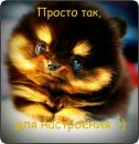 Фотография Оля Каленская